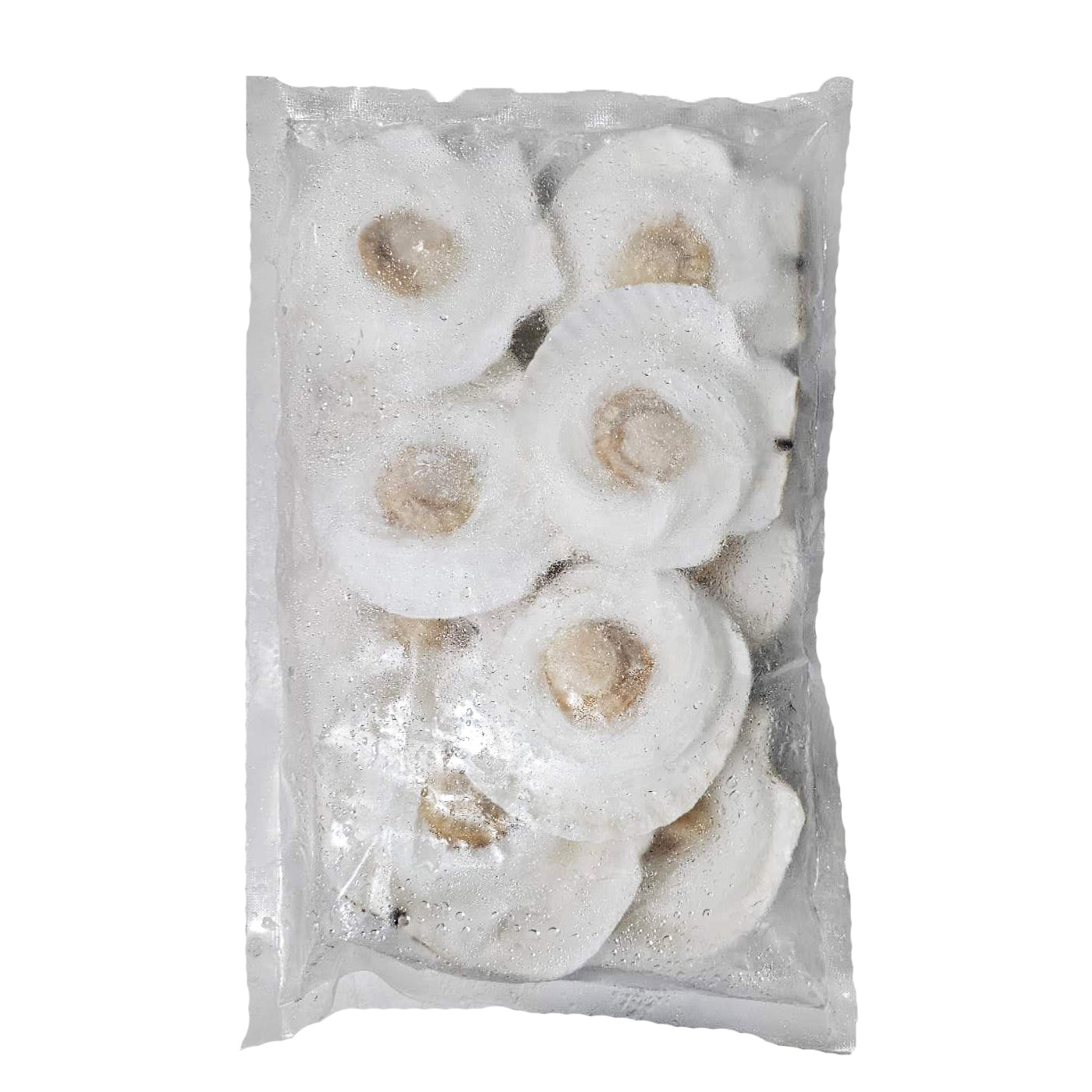 [F145] 半壳扇贝配粉丝 Half Shell Scallops with Sotanghon - 1 kg (approx. 10 pcs)